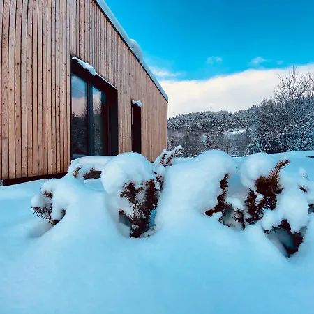 度假居 Pieniny 什恰夫尼察